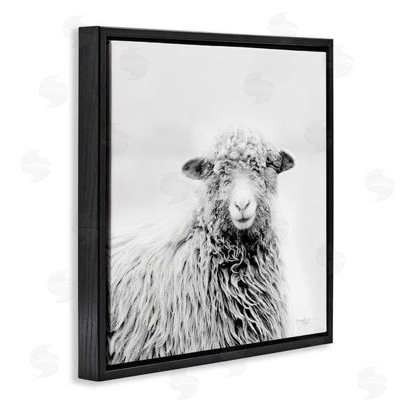 Stupell Industries Jennifer Pugh | Smiling Sheep Face Monochrome Farm Portrait Wall Art