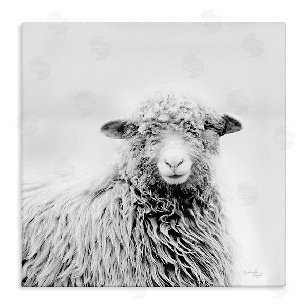 stupell industries Jennifer Pugh | Smiling Sheep Face Monochrome Farm Portrait Wall Art