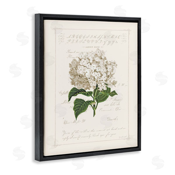 Stupell Industries Jennifer Pugh | Vintage Floral Motif