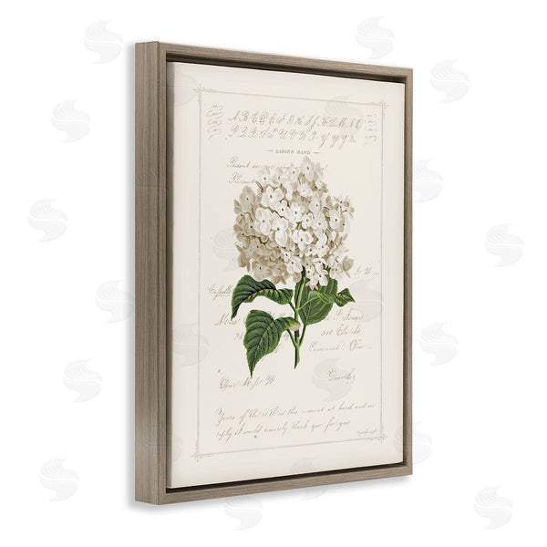 Stupell Industries Jennifer Pugh | Vintage Floral Motif