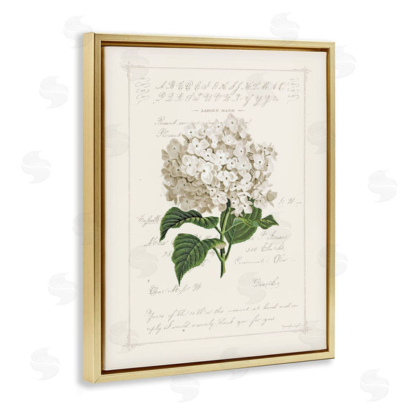 Stupell Industries Jennifer Pugh | Vintage Floral Motif