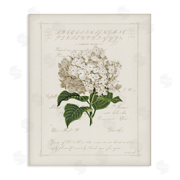 stupell industries Jennifer Pugh | Vintage Floral Motif
