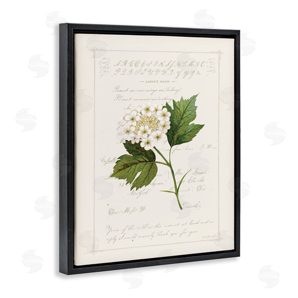 Stupell Industries Jennifer Pugh | Vintage Florals And Script