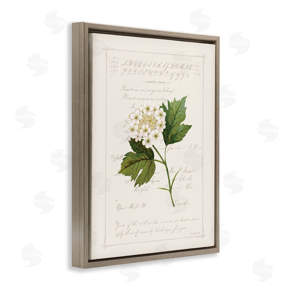 Stupell Industries Jennifer Pugh | Vintage Florals And Script