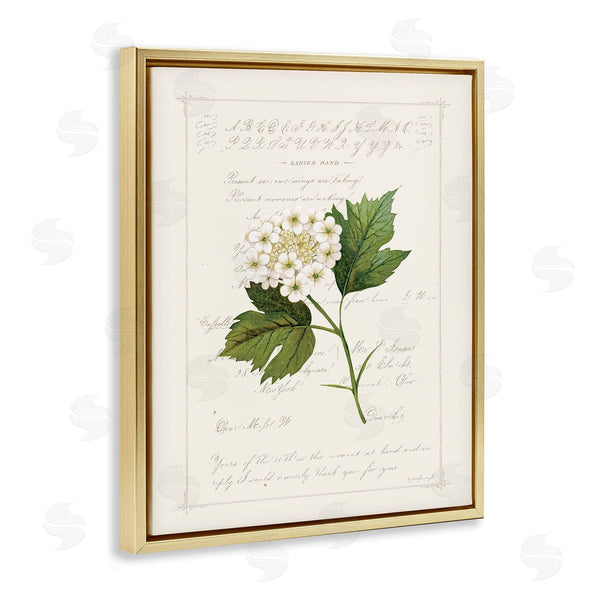 Stupell Industries Jennifer Pugh | Vintage Florals And Script