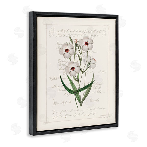 Stupell Industries Jennifer Pugh | Vintage Script With Florals
