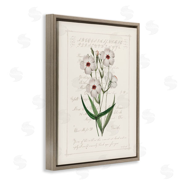 Stupell Industries Jennifer Pugh | Vintage Script With Florals