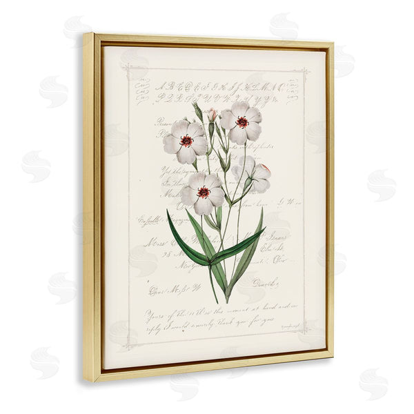 Stupell Industries Jennifer Pugh | Vintage Script With Florals