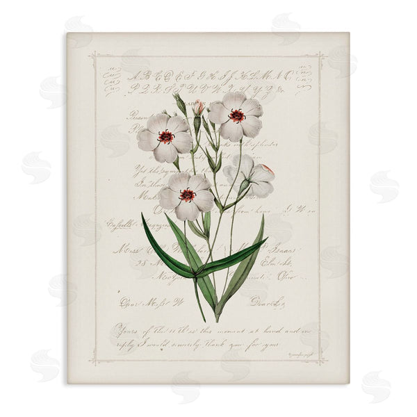 stupell industries Jennifer Pugh | Vintage Script with Florals