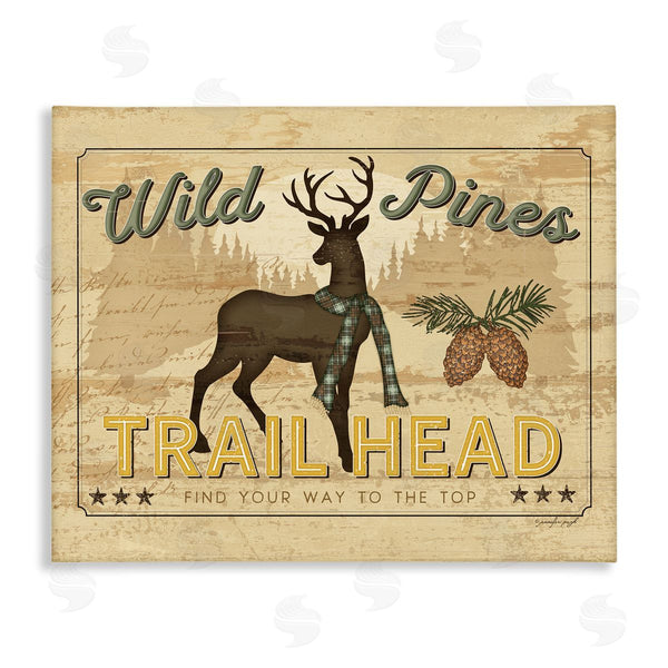 stupell industries Jennifer Pugh | Wild Pines Rustic Trail