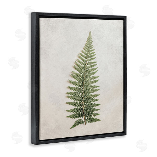 Stupell Industries Jennifer Rigsby | Detailed Fern Frond