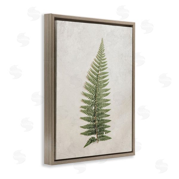 Stupell Industries Jennifer Rigsby | Detailed Fern Frond