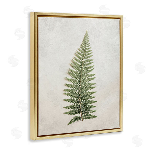 Stupell Industries Jennifer Rigsby | Detailed Fern Frond