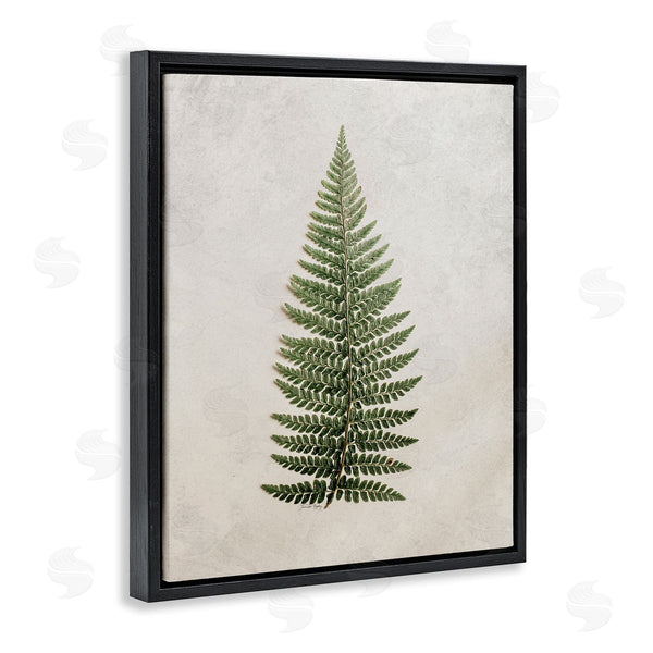 Stupell Industries Jennifer Rigsby | Detailed Fern Leaf