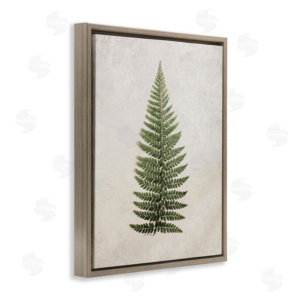 Stupell Industries Jennifer Rigsby | Detailed Fern Leaf