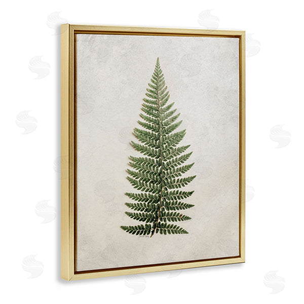 Stupell Industries Jennifer Rigsby | Detailed Fern Leaf