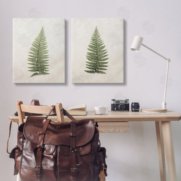 Stupell Industries Jennifer Rigsby | Realistic Fern Leaves Wall Art