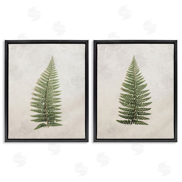 Stupell Industries Jennifer Rigsby | Realistic Fern Leaves Wall Art
