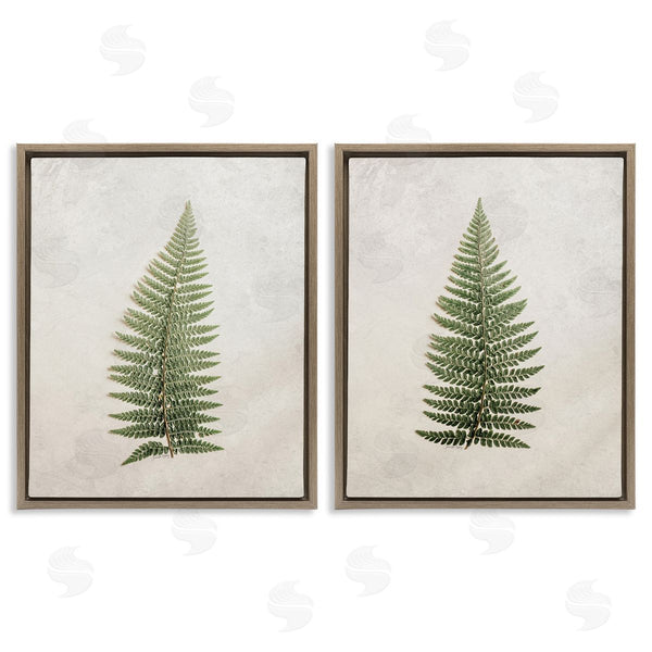Stupell Industries Jennifer Rigsby | Realistic Fern Leaves Wall Art