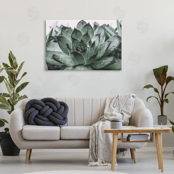Stupell Industries Jennifer Rigsby | Succulent With Rain Droplets Wall Art