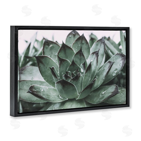 Stupell Industries Jennifer Rigsby | Succulent With Rain Droplets Wall Art
