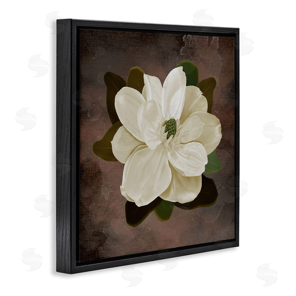 Stupell Industries Jennifer Stith | Magnolia On Brown