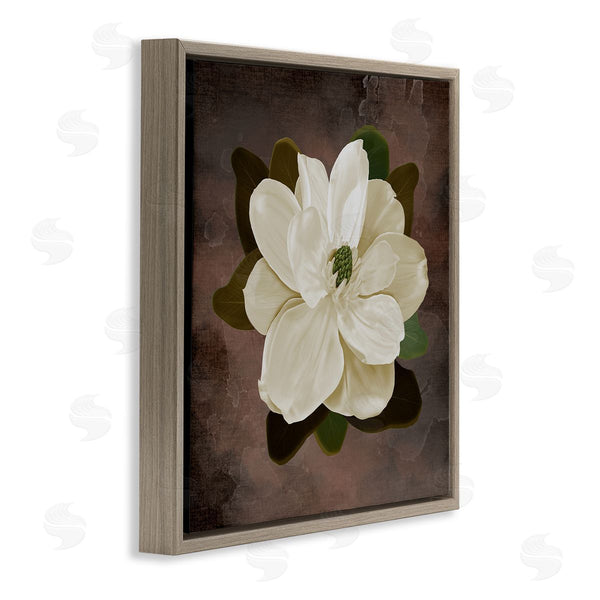 Stupell Industries Jennifer Stith | Magnolia On Brown
