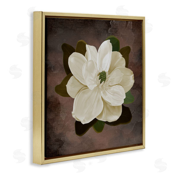 Stupell Industries Jennifer Stith | Magnolia On Brown