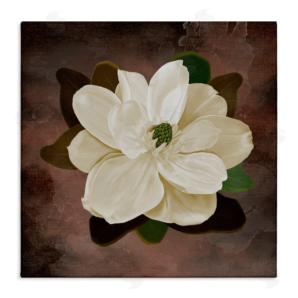 stupell industries Jennifer Stith | Magnolia on Brown