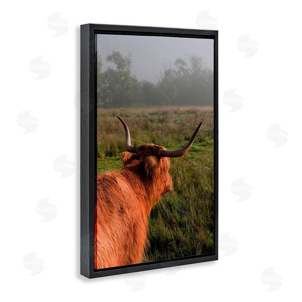Stupell Industries Jenny Rainbow Fine Art | Highland Cow Gazing Out Wall Art