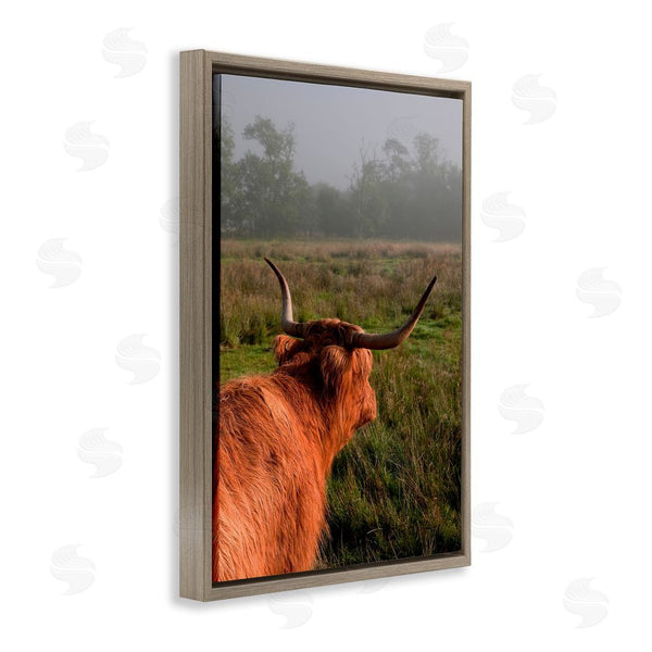 Stupell Industries Jenny Rainbow Fine Art | Highland Cow Gazing Out Wall Art