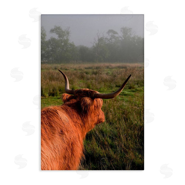 stupell industries Jenny Rainbow Fine Art | Highland Cow Gazing Out Wall Art