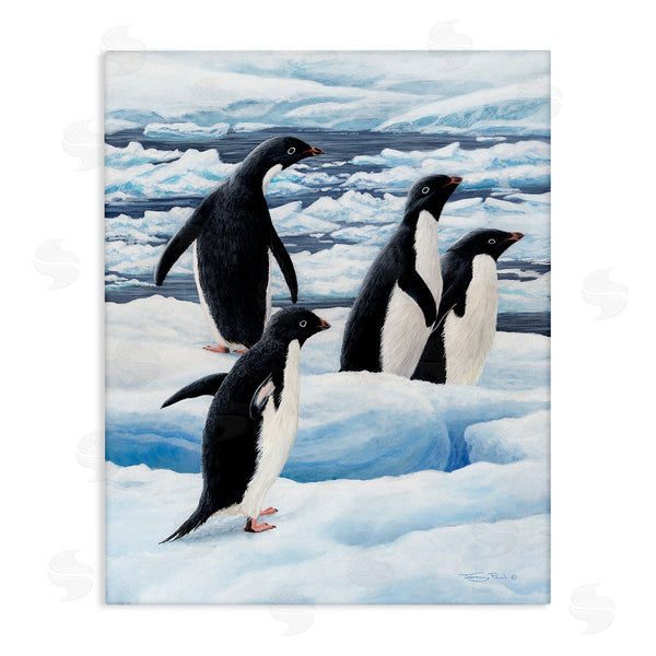stupell industries Jeremy Paul | Adelie Penguins on Ice