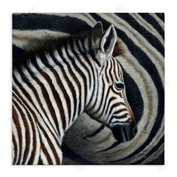 stupell industries Jeremy Paul | Keeping Close Zebra Stripes