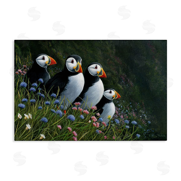 stupell industries Jeremy Paul | Puffins & Wild Flowers