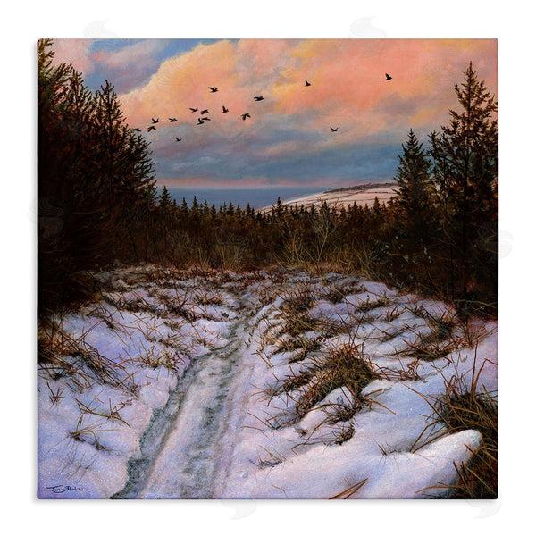 stupell industries Jeremy Paul | Snowy Coastal Nature Trail Wall Art