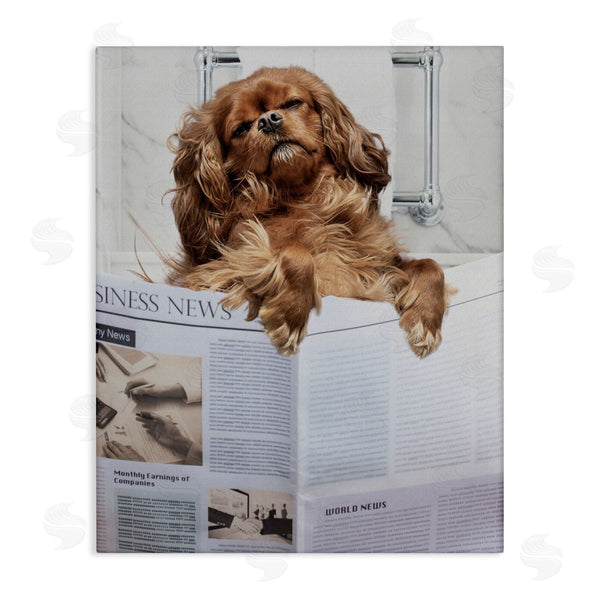 stupell industries Jesse Keith | Sleeping on Loo Bath Humor