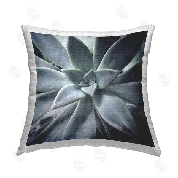 Stupell Industries Jessica Manelis | Botanical Succulent Plant Printed Throw Pillow