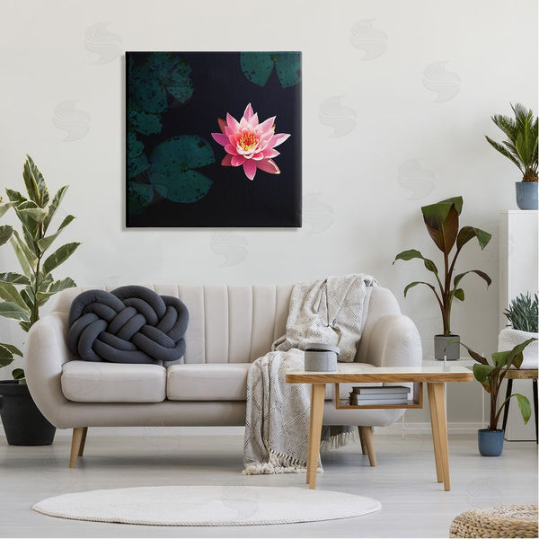 Stupell Industries Jessica Manelis | Pink Lotus Pond Lily Flower Wall Art