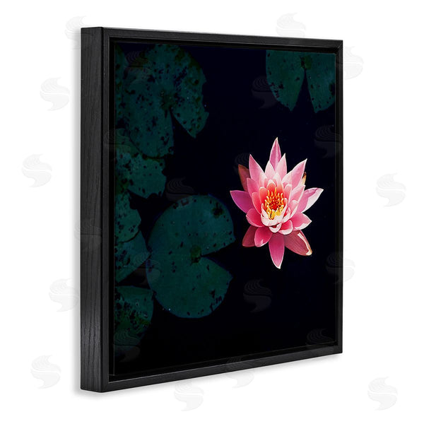 Stupell Industries Jessica Manelis | Pink Lotus Pond Lily Flower Wall Art