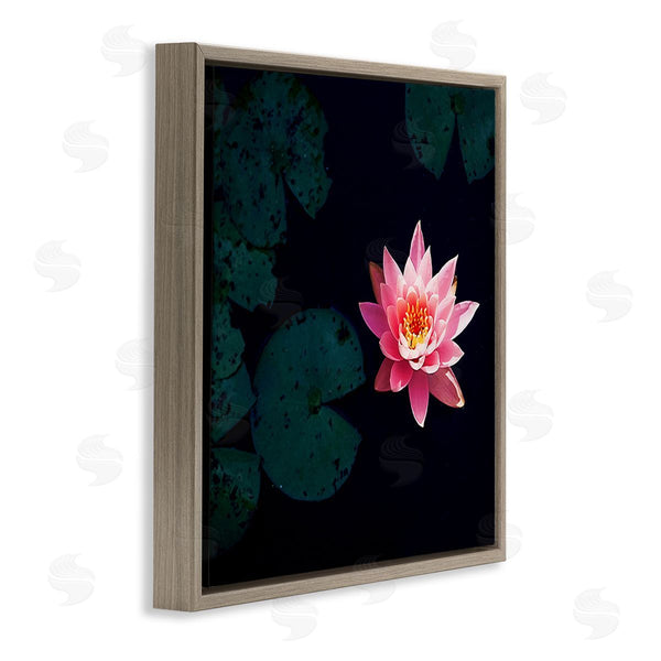 Stupell Industries Jessica Manelis | Pink Lotus Pond Lily Flower Wall Art