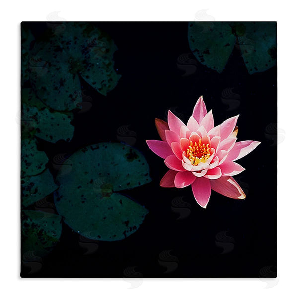 stupell industries Jessica Manelis | Pink Lotus Pond Lily Flower Wall Art