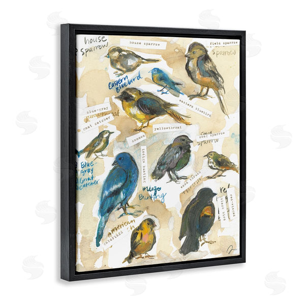 Stupell Industries Jessica Mingo | Backyard Birds Identities
