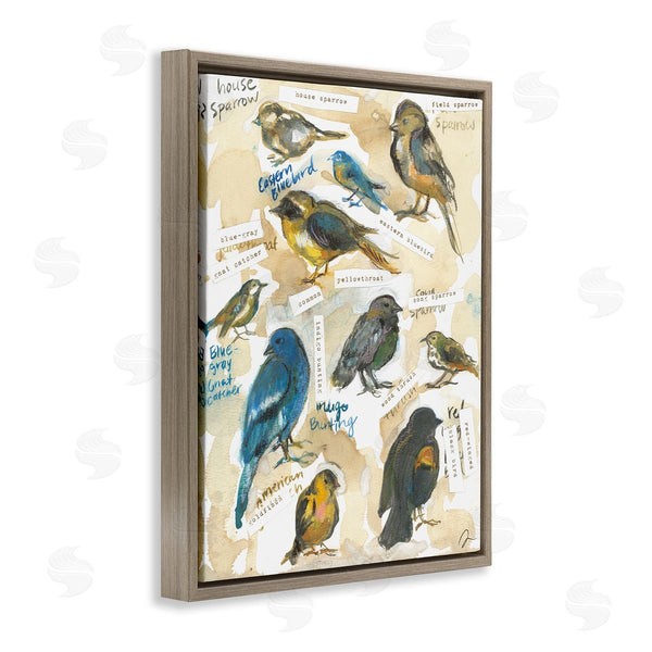Stupell Industries Jessica Mingo | Backyard Birds Identities