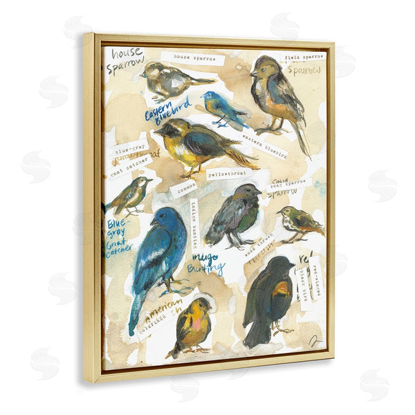 Stupell Industries Jessica Mingo | Backyard Birds Identities