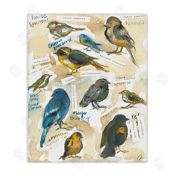 stupell industries Jessica Mingo | Backyard Birds Identities