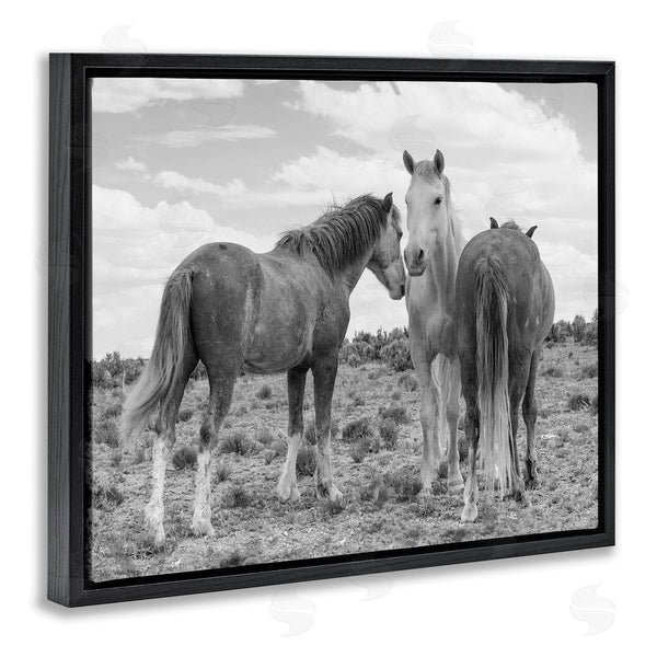 Stupell Industries JG Studios | Horse Trio In Desert Wall Art