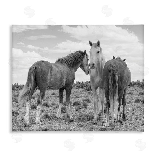stupell industries JG Studios | Horse Trio in Desert Wall Art