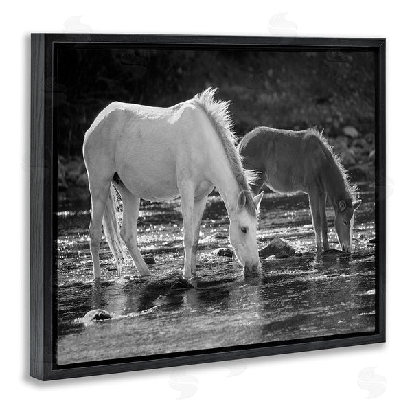 Stupell Industries JG Studios | Horses Drinking At Stream Wall Art