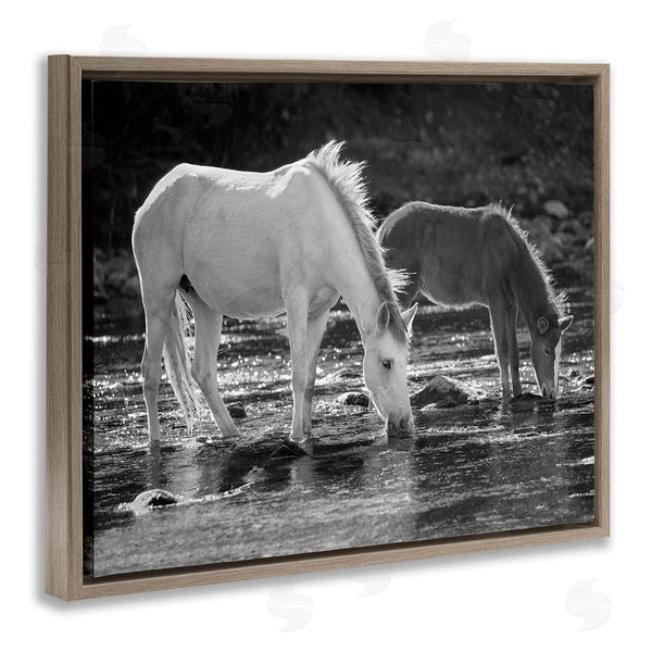 Stupell Industries JG Studios | Horses Drinking At Stream Wall Art